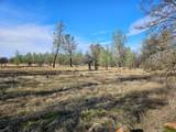 42 acres Ash Creek Road - Photo 16