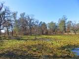 42 acres Ash Creek Road - Photo 17