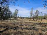 42 acres Ash Creek Road - Photo 19