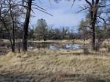 42 acres Ash Creek Road - Photo 2