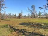 42 acres Ash Creek Road - Photo 20