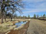42 acres Ash Creek Road - Photo 21