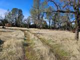 42 acres Ash Creek Road - Photo 23