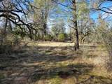 42 acres Ash Creek Road - Photo 26