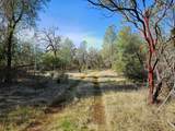 42 acres Ash Creek Road - Photo 27