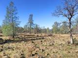42 acres Ash Creek Road - Photo 30