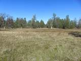 42 acres Ash Creek Road - Photo 4