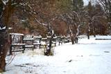 3720 Co Rd 118 - Photo 39