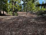 Mt. Shasta Boulevard - Photo 2