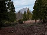  Mt. Shasta Boulevard - Photo 4
