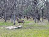 16225 Caribou Road - Photo 34