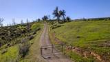 13884 Shangrila Dr - Photo 4