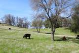 26602 Snider Ranch Road - Photo 21