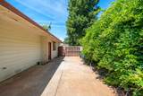 4681 Dandelion Drive - Photo 52