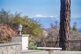15888 El Camino Robles Road - Photo 2