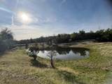 120 ACRES Golden Oak/Lawndale - Photo 16