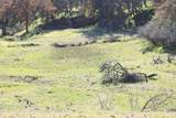 120 ACRES Golden Oak/Lawndale - Photo 26