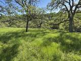 22545 Rio Robles Drive - Photo 4