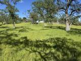 22545 Rio Robles Drive - Photo 7
