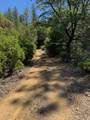  Little Doe Rdg - Photo 16