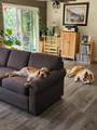 30562 Sleepy Hollow Drive - Photo 11