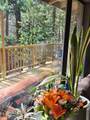 30562 Sleepy Hollow Drive - Photo 14