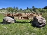16483 Buzzard Roost Road - Photo 1