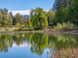 16483 Buzzard Roost Road - Photo 10