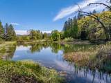 16483 Buzzard Roost Road - Photo 11