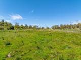16483 Buzzard Roost Road - Photo 111