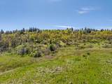 16483 Buzzard Roost Road - Photo 112