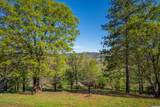 16483 Buzzard Roost Road - Photo 20