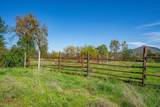 16483 Buzzard Roost Road - Photo 49