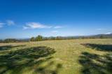 16483 Buzzard Roost Road - Photo 50