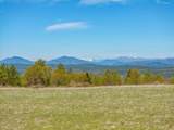 16483 Buzzard Roost Road - Photo 54