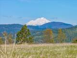 16483 Buzzard Roost Road - Photo 56