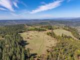 16483 Buzzard Roost Road - Photo 58