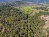 16483 Buzzard Roost Road - Photo 62