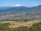 16483 Buzzard Roost Road - Photo 64
