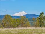 16483 Buzzard Roost Road - Photo 87