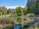 16483 Buzzard Roost Road - Photo 9