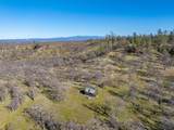 005 Beaver Road - Photo 8