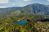 31419 Hagen Flat Road - Photo 38
