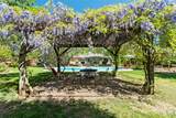 6860 Riata Drive - Photo 30