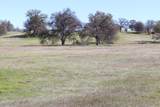 Lot 41 Del Mar Avenue - Photo 8
