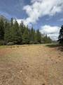  Ponderosa Way - Photo 1