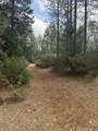  Ponderosa Way - Photo 10