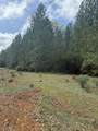  Ponderosa Way - Photo 11