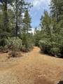  Ponderosa Way - Photo 5