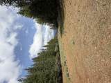  Ponderosa Way - Photo 6
